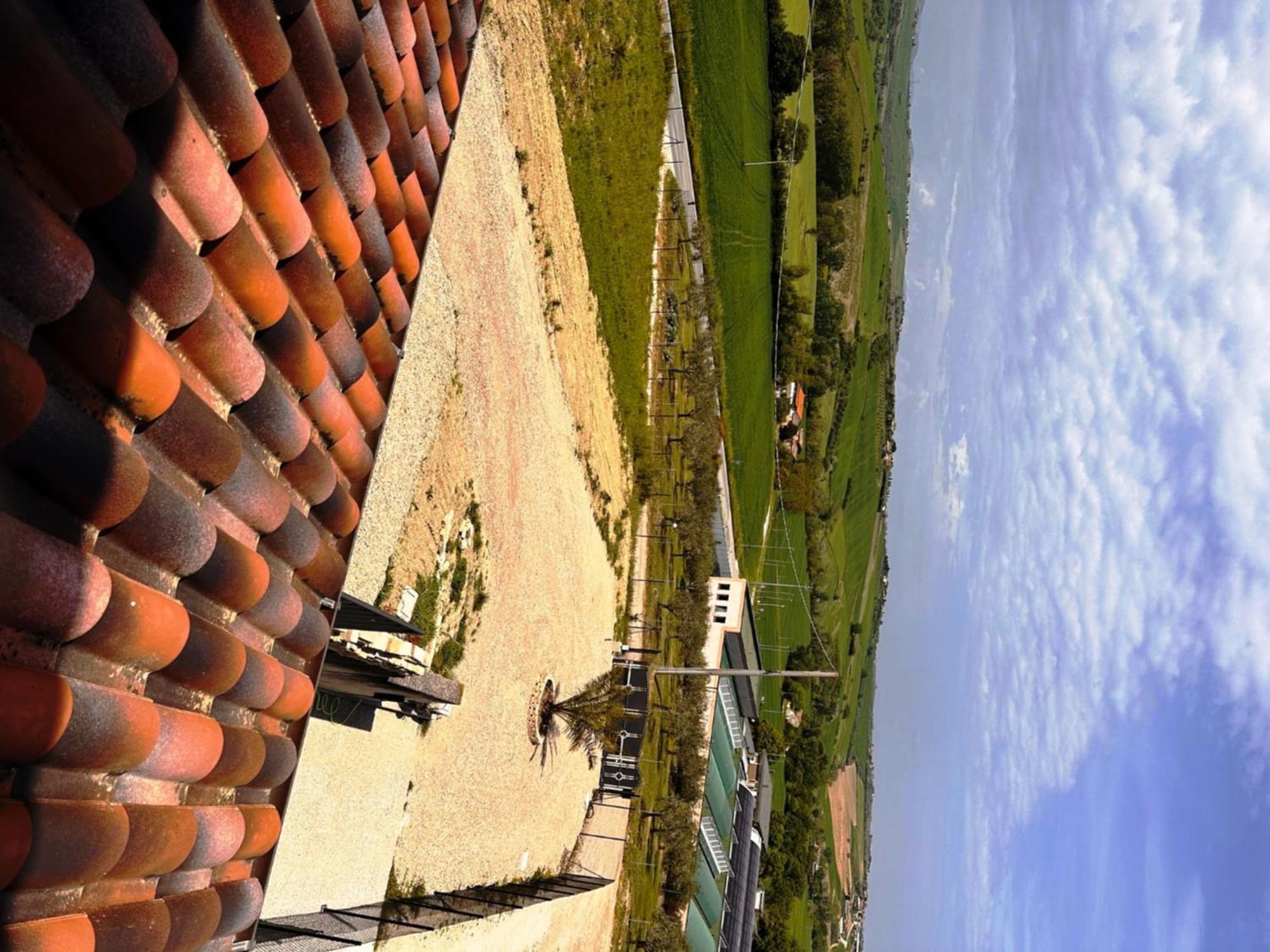 Bed and Breakfast La Sosta Di Guido A Tavullia Esterno foto