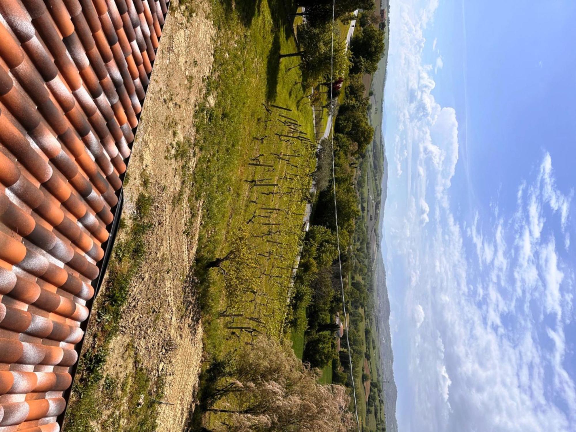 Bed and Breakfast La Sosta Di Guido A Tavullia Esterno foto